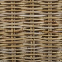 ARDEA - Tuinstoel Set Van 2 - Natuurlijk - Rotan 25 ARDEA - Tuinstoel Set Van 2 - Natuurlijk - Rotan -Meubelpromotie 0064a3e8646a4209a87160fdb092a332