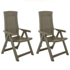 VidaXL Tuinstoelen 2 St Verstelbaar Kunststof Mokka