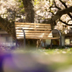 Tectake - Tuinbank - 123x 64x 82 Cm - Hout 8 Tectake - Tuinbank - 123x 64x 82 Cm - Hout -Meubelpromotie 1000078026 0102