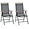VidaXL - Tuinstoelen - Zwart - Aluminium En Textileen - 2 Stuks - Inklapbaar -Meubelpromotie 1000162960