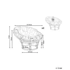 SALVO - Fauteuil Set Van 2 - Lichtbeige - Rotan 15 SALVO - Fauteuil Set Van 2 - Lichtbeige - Rotan -Meubelpromotie 263892e20f1345de8ef318ed44a37058