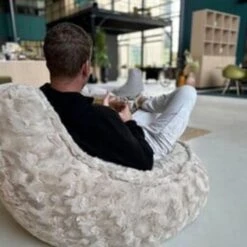 Parya Stoel Zitzak Bont - Zitzakfauteuil - Woonkamerzitzak - Beige - Senior -Meubelpromotie 3775b1b70cb5458589d6e50dbde17254