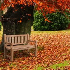 CLP Teakbank Teakbank 120 Cm Mit Abdeckhaube 120 Cm -Meubelpromotie 5a9f3ca4983f4b24939128a99a073052