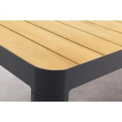 Vdgarde Premium - General Tuintafel 220x100cm. 15 Vdgarde Premium - General Tuintafel 220x100cm. -Meubelpromotie eea21fe1296b4600b24914d882c7ff2e